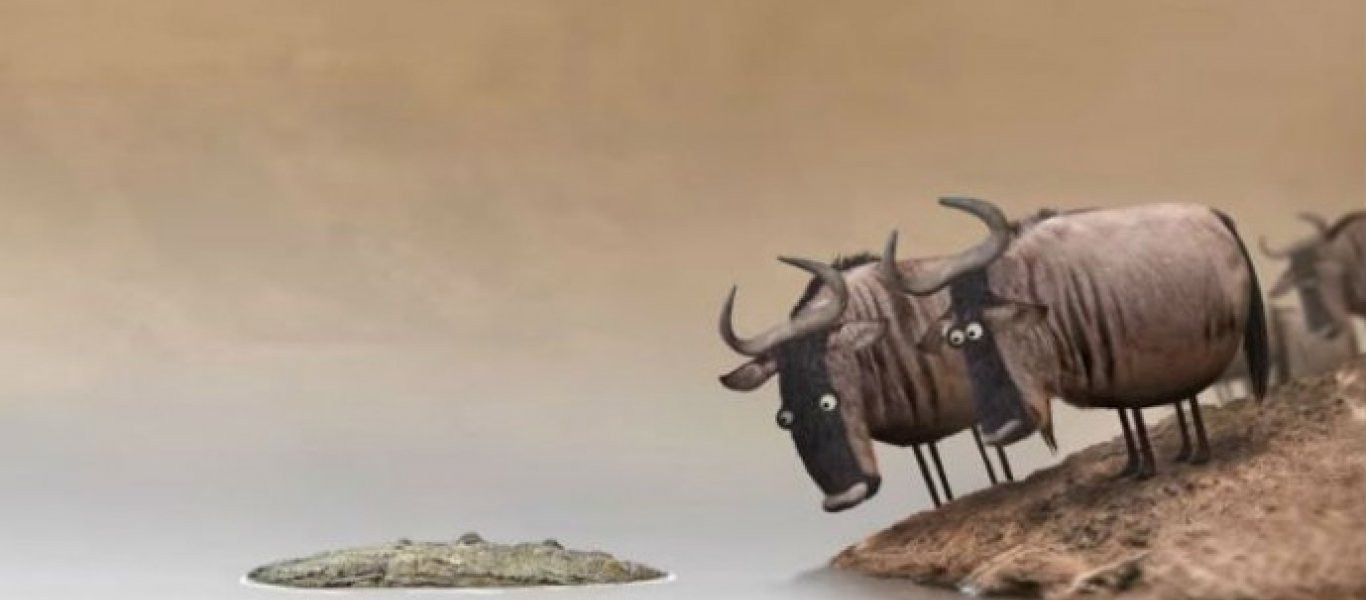 Βίντεο: Ένας βούβαλος ρωτά τον άλλο αν αυτό που βλέπουν μπροστά τους είναι ξύλο ή κροκόδειλος;